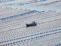 Workers are working in a breeding area at a marine ranch in Lianjiang County, Fuzhou, in Fuzhou, China, on June 11, 2024. (