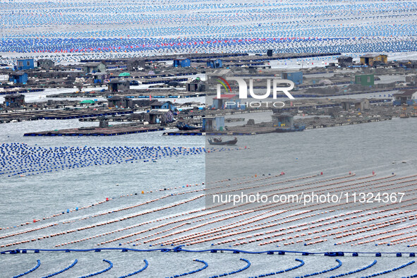 Workers are working in a breeding area at a marine ranch in Lianjiang County, Fuzhou, in Fuzhou, China, on June 11, 2024. 