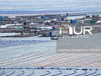 Workers are working in a breeding area at a marine ranch in Lianjiang County, Fuzhou, in Fuzhou, China, on June 11, 2024. (