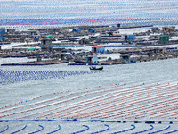 Workers are working in a breeding area at a marine ranch in Lianjiang County, Fuzhou, in Fuzhou, China, on June 11, 2024. (