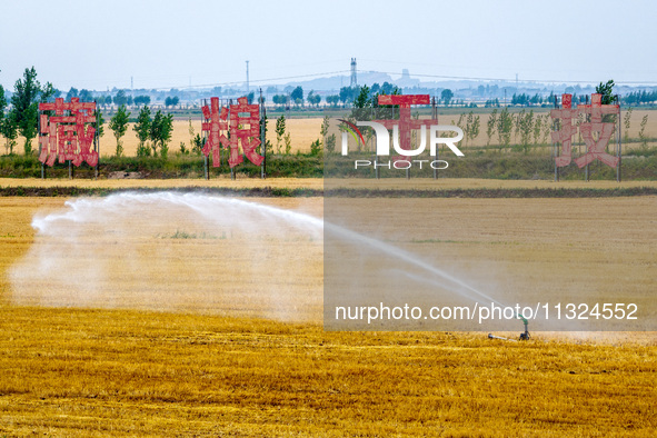 Farmers are watering newly sown corn to protect their autumn seedlings against drought at the high-standard grain field demonstration zone i...