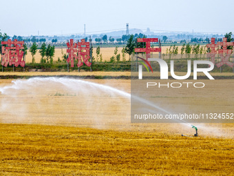 Farmers are watering newly sown corn to protect their autumn seedlings against drought at the high-standard grain field demonstration zone i...