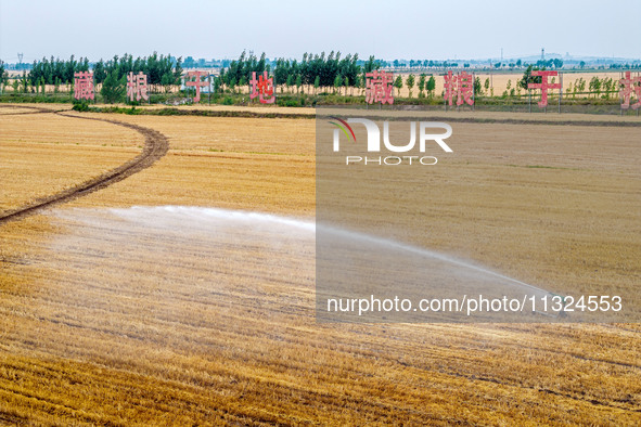 Farmers are watering newly sown corn to protect their autumn seedlings against drought at the high-standard grain field demonstration zone i...