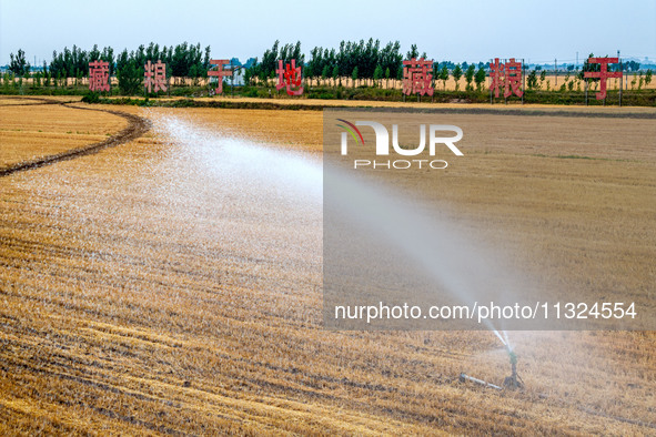 Farmers are watering newly sown corn to protect their autumn seedlings against drought at the high-standard grain field demonstration zone i...