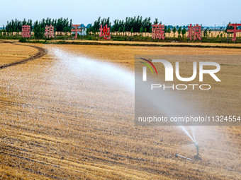 Farmers are watering newly sown corn to protect their autumn seedlings against drought at the high-standard grain field demonstration zone i...