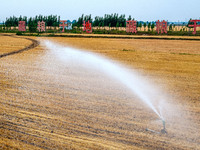 Farmers are watering newly sown corn to protect their autumn seedlings against drought at the high-standard grain field demonstration zone i...