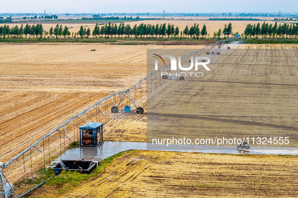 Farmers are watering newly sown corn to protect their autumn seedlings against drought at the high-standard grain field demonstration zone i...