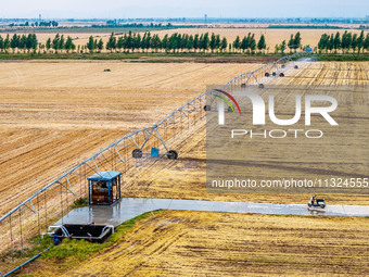 Farmers are watering newly sown corn to protect their autumn seedlings against drought at the high-standard grain field demonstration zone i...