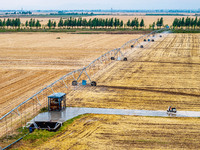 Farmers are watering newly sown corn to protect their autumn seedlings against drought at the high-standard grain field demonstration zone i...