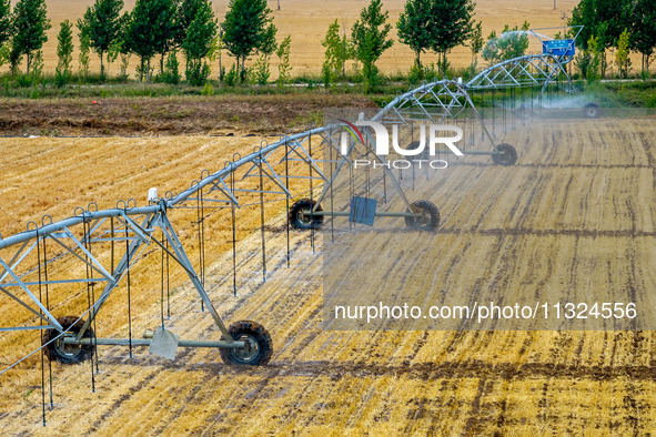 Farmers are watering newly sown corn to protect their autumn seedlings against drought at the high-standard grain field demonstration zone i...