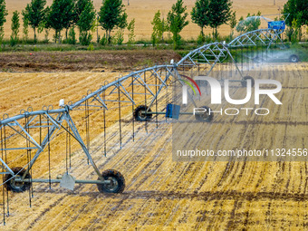 Farmers are watering newly sown corn to protect their autumn seedlings against drought at the high-standard grain field demonstration zone i...