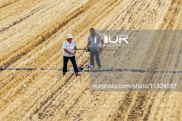 Farmers are watering newly sown corn to protect their autumn seedlings against drought at the high-standard grain field demonstration zone i...