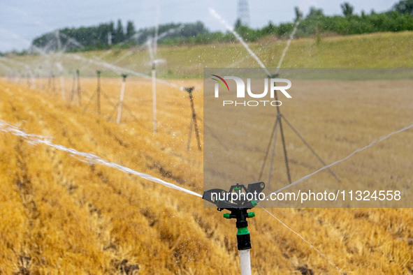 Farmers are watering newly sown corn to protect their autumn seedlings against drought at the high-standard grain field demonstration zone i...