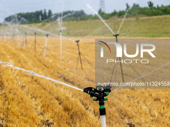 Farmers are watering newly sown corn to protect their autumn seedlings against drought at the high-standard grain field demonstration zone i...