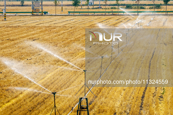 Farmers are watering newly sown corn to protect their autumn seedlings against drought at the high-standard grain field demonstration zone i...