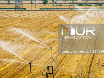 Farmers are watering newly sown corn to protect their autumn seedlings against drought at the high-standard grain field demonstration zone i...