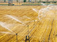 Farmers are watering newly sown corn to protect their autumn seedlings against drought at the high-standard grain field demonstration zone i...