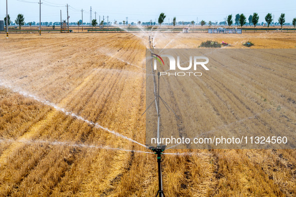 Farmers are watering newly sown corn to protect their autumn seedlings against drought at the high-standard grain field demonstration zone i...