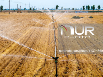 Farmers are watering newly sown corn to protect their autumn seedlings against drought at the high-standard grain field demonstration zone i...