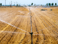 Farmers are watering newly sown corn to protect their autumn seedlings against drought at the high-standard grain field demonstration zone i...