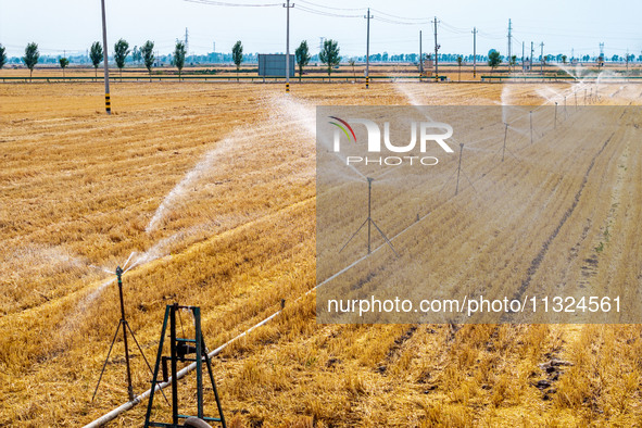 Farmers are watering newly sown corn to protect their autumn seedlings against drought at the high-standard grain field demonstration zone i...