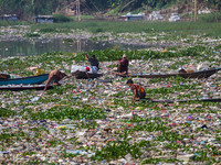 Residents on boats are collecting recyclable plastics from the heavily polluted Citarum River in Batujajar, Bandung, West Java, Indonesia, o...