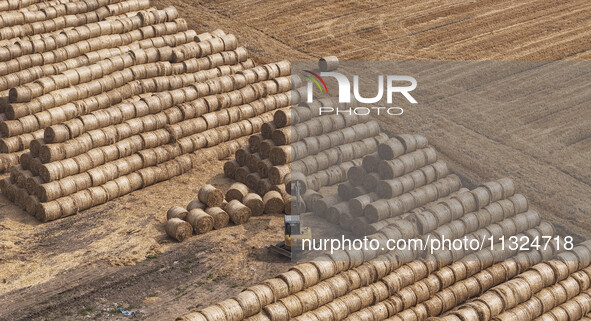 Farmers are recycling wheat straw in a field at Dahuangzhuang village in Huai'an city, East China's Jiangsu province, on June 12, 2024. 