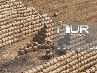 Farmers are recycling wheat straw in a field at Dahuangzhuang village in Huai'an city, East China's Jiangsu province, on June 12, 2024. (