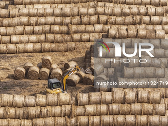 Farmers are recycling wheat straw in a field at Dahuangzhuang village in Huai'an city, East China's Jiangsu province, on June 12, 2024. (