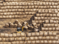 Farmers are recycling wheat straw in a field at Dahuangzhuang village in Huai'an city, East China's Jiangsu province, on June 12, 2024. (