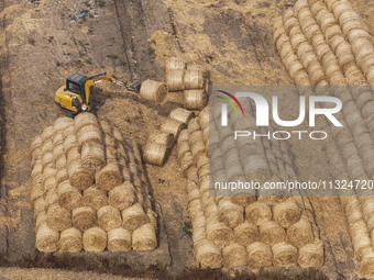 Farmers are recycling wheat straw in a field at Dahuangzhuang village in Huai'an city, East China's Jiangsu province, on June 12, 2024. (