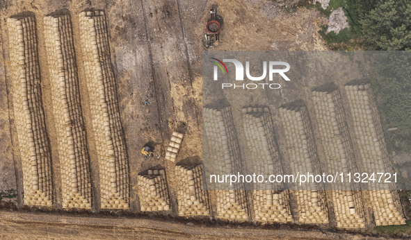 Farmers are recycling wheat straw in a field at Dahuangzhuang village in Huai'an city, East China's Jiangsu province, on June 12, 2024. 