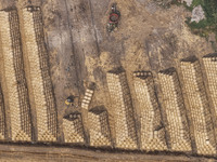 Farmers are recycling wheat straw in a field at Dahuangzhuang village in Huai'an city, East China's Jiangsu province, on June 12, 2024. (