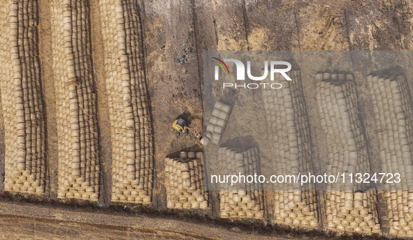 Farmers are recycling wheat straw in a field at Dahuangzhuang village in Huai'an city, East China's Jiangsu province, on June 12, 2024. 