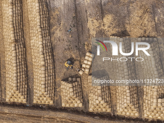 Farmers are recycling wheat straw in a field at Dahuangzhuang village in Huai'an city, East China's Jiangsu province, on June 12, 2024. (