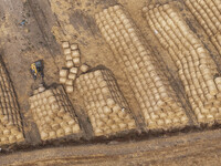 Farmers are recycling wheat straw in a field at Dahuangzhuang village in Huai'an city, East China's Jiangsu province, on June 12, 2024. (