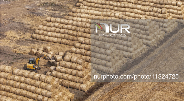 Farmers are recycling wheat straw in a field at Dahuangzhuang village in Huai'an city, East China's Jiangsu province, on June 12, 2024. 