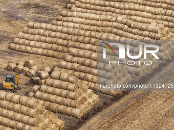 Farmers are recycling wheat straw in a field at Dahuangzhuang village in Huai'an city, East China's Jiangsu province, on June 12, 2024. (