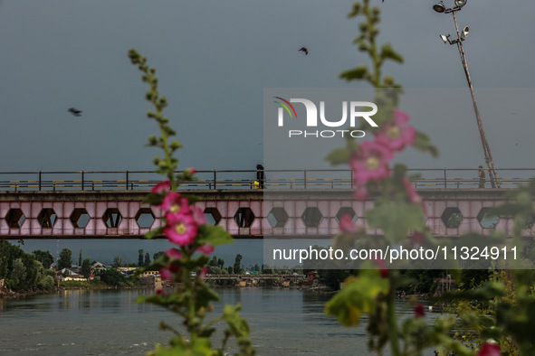 Wild flowers are growing on the banks of the river Jhelum as people are walking on a bridge in Sopore, Jammu and Kashmir, India, on June 12,...