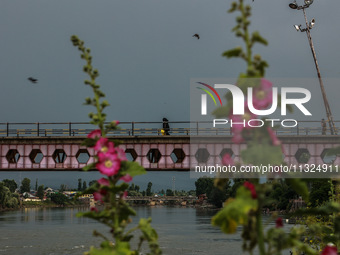 Wild flowers are growing on the banks of the river Jhelum as people are walking on a bridge in Sopore, Jammu and Kashmir, India, on June 12,...