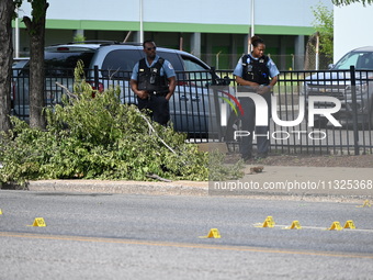 Chicago police and the crime scene unit are investigating the shooting and putting down evidence markers for shell casings, with over 80 evi...