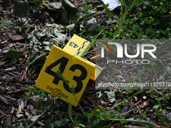 An evidence marker is showing where shell casings are located at the crime scene. Three people are being shot in Chicago, Illinois, United S...