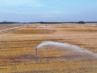 Farmers are using sprinkler irrigation equipment to water newly sown corn in Laojiaochen village, Liaocheng City, East China's Shandong prov...