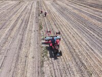 Farmers are laying drip irrigation pipes in a field to water newly sown corn in Daqu village, Liaocheng City, East China's Shandong province...