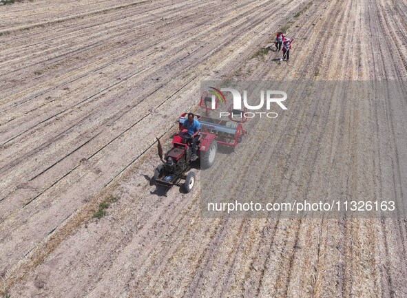 Farmers are laying drip irrigation pipes in a field to water newly sown corn in Daqu village, Liaocheng City, East China's Shandong province...