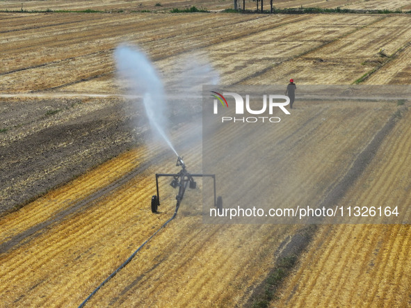 Farmers are using mobile sprinkler irrigation equipment to water newly sown corn in Daqu village in Liaocheng, China, on June 12, 2024. 