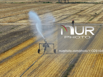 Farmers are using mobile sprinkler irrigation equipment to water newly sown corn in Daqu village in Liaocheng, China, on June 12, 2024. (