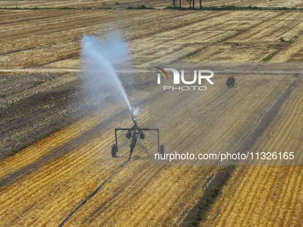 Farmers are using mobile sprinkler irrigation equipment to water newly sown corn in Daqu village in Liaocheng, China, on June 12, 2024. 