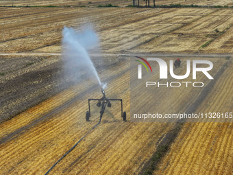 Farmers are using mobile sprinkler irrigation equipment to water newly sown corn in Daqu village in Liaocheng, China, on June 12, 2024. (