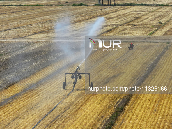 Farmers are using mobile sprinkler irrigation equipment to water newly sown corn in Daqu village in Liaocheng, China, on June 12, 2024. 